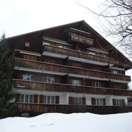 Apartamento Apartment Suzanne Schonried Schönried